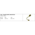 LED Chart Light - Large Head, Brass