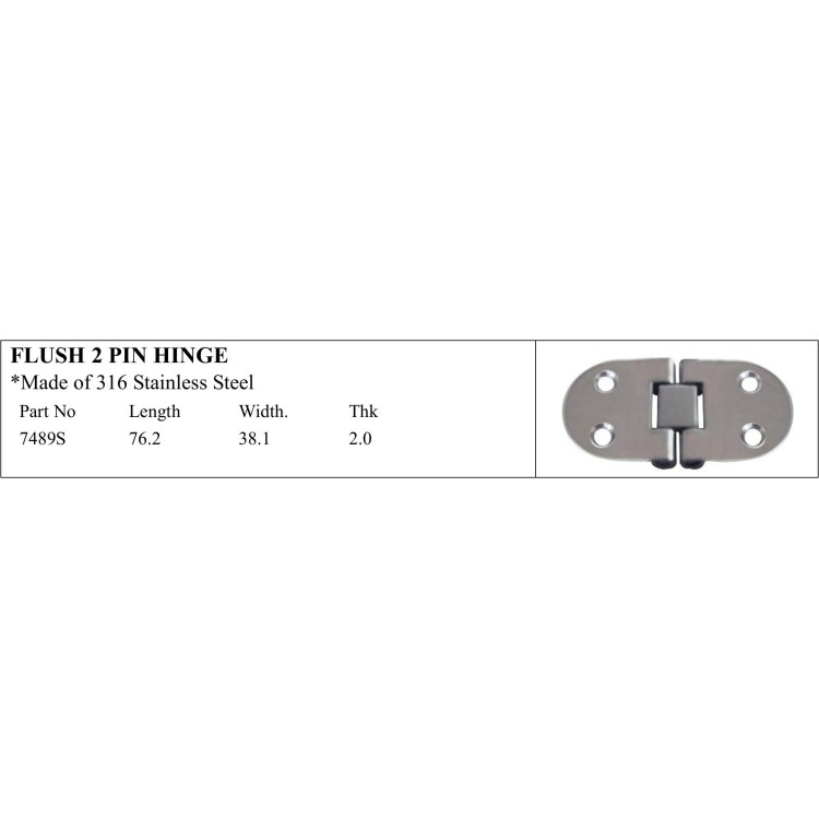 Flush 2 Pin Hinge made of 316 Stainless Steel
